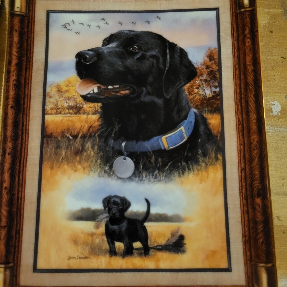 Franklin Mint Labrador Plate